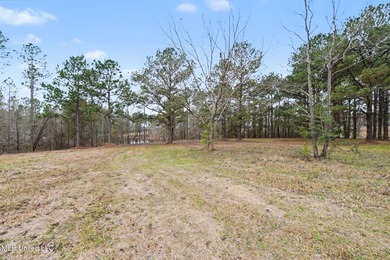 (private lake, pond, coastal) Acreage For Sale in Lucedale Mississippi