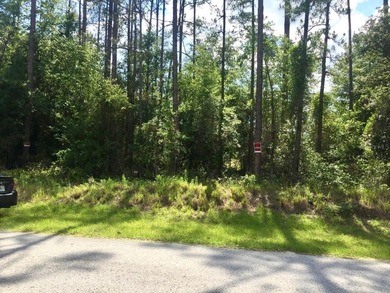 Bonable Lake Lot For Sale in Dunnellon Florida