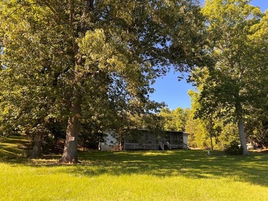 RARE, UNRESTRICTED, GENTLY SLOPED, DOCKABLE lake lot with a BIG - photo 4