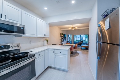 Updated Villa with Loft & Peaceful Pond Views Beautifully - photo 6