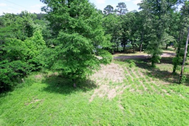 1 Acre Lot with Water View of Lake Cypress Springs - photo 5