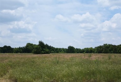Great Land located very close to the New Rolph Hill Lake - Lake Acreage For Sale in Pecan Gap, Texas