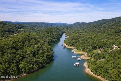 RARE Norris Lake waterfront opportunity! This 0.66-acre - photo 11
