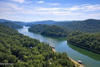 RARE Norris Lake waterfront opportunity! This 0.66-acre - photo 13