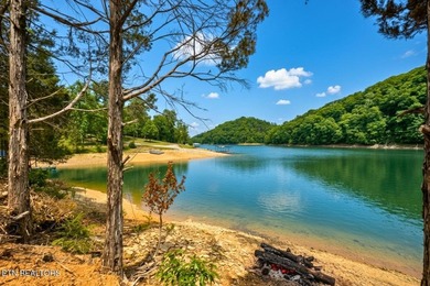 RARE Norris Lake waterfront opportunity! This 0.66-acre - photo 16