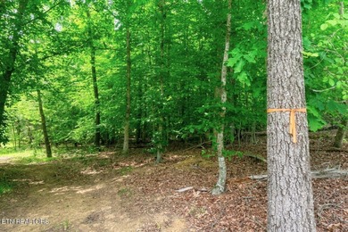 RARE Norris Lake waterfront opportunity! This 0.66-acre - photo 17