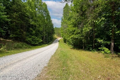 RARE Norris Lake waterfront opportunity! This 0.66-acre - photo 19