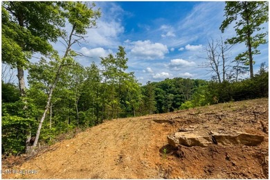 RARE Norris Lake waterfront opportunity! This 0.66-acre - photo 21
