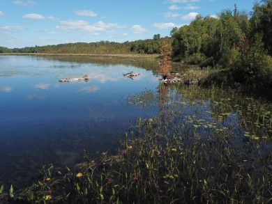 Lake Acreage For Sale in Saint Albans, Maine