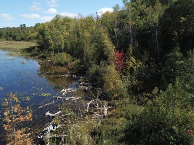 The perfect place to build your year-round waterfront home, with - photo 2