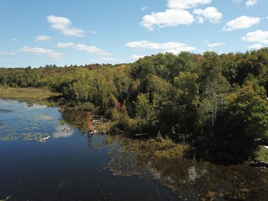 The perfect place to build your year-round waterfront home, with - photo 4