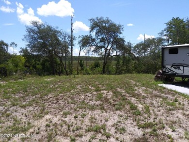 (private lake, pond, creek) Lot For Sale in Satsuma Florida