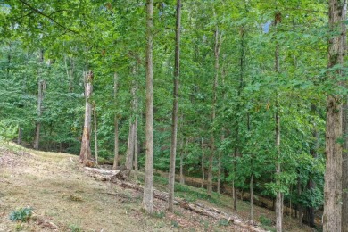 Lake Lanier Lot For Sale in Gainesville Georgia