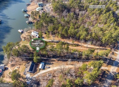 Lake Lot For Sale in Sparta, Georgia