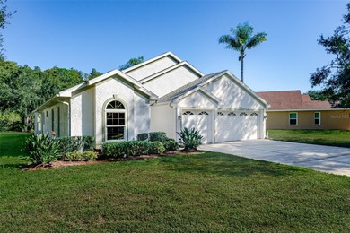 Lake Home For Sale in Oldsmar, Florida
