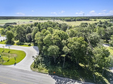 **Prime Commercial Land Opportunity** Discover the potential of - photo 5