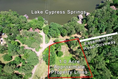 1 Acre Lot with Water View of Lake Cypress Springs - photo 9