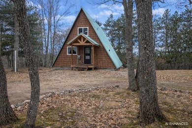 Fully furnished A-frame cabin on two lots in Canada Creek Ranch - photo 2