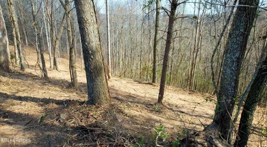 Attention investors, builders, and Norris Lake Lovers alike. Do - photo 11