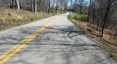 Attention investors, builders, and Norris Lake Lovers alike. Do - photo 12
