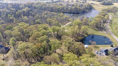 Discover a truly rare and breathtaking property in Lake - photo 12