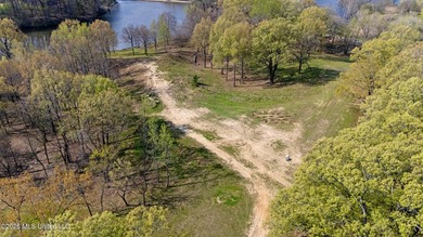 Discover a truly rare and breathtaking property in Lake - photo 16
