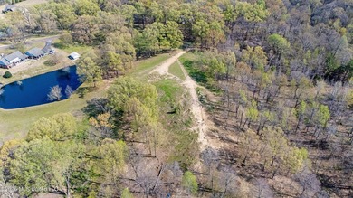 Discover a truly rare and breathtaking property in Lake - photo 20