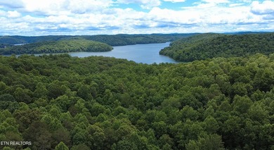 Attention investors, builders, and Norris Lake Lovers alike. Do - photo 21