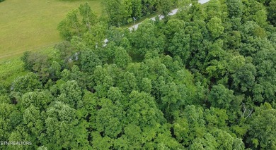 Attention investors, builders, and Norris Lake Lovers alike. Do - photo 23