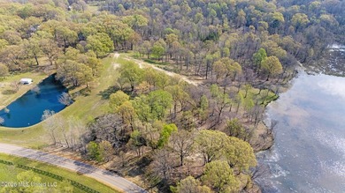 Discover a truly rare and breathtaking property in Lake - photo 24