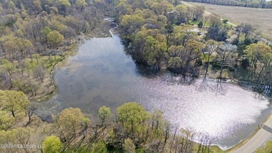 Discover a truly rare and breathtaking property in Lake - photo 25