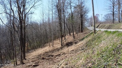 Attention investors, builders, and Norris Lake Lovers alike. Do - photo 26