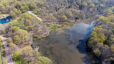 Discover a truly rare and breathtaking property in Lake - photo 26