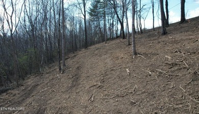 Attention investors, builders, and Norris Lake Lovers alike. Do - photo 28