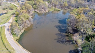 Discover a truly rare and breathtaking property in Lake - photo 28