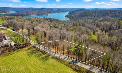 Attention investors, builders, and Norris Lake Lovers alike. Do - photo 30