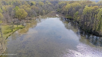 Discover a truly rare and breathtaking property in Lake - photo 30