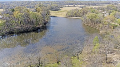 Discover a truly rare and breathtaking property in Lake - photo 31