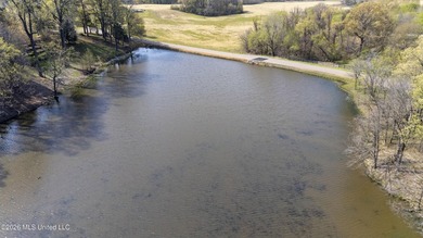Discover a truly rare and breathtaking property in Lake - photo 33