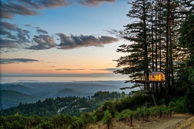 High above Silicon Valley, where the Santa Cruz Mountains meet - photo 4