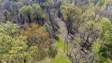 Discover a truly rare and breathtaking property in Lake - photo 36