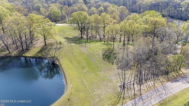 Discover a truly rare and breathtaking property in Lake - photo 39