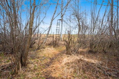 15.36 acre property featuring a 6 acre spring fed private lake - photo 48