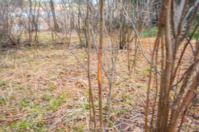 15.36 acre property featuring a 6 acre spring fed private lake - photo 50
