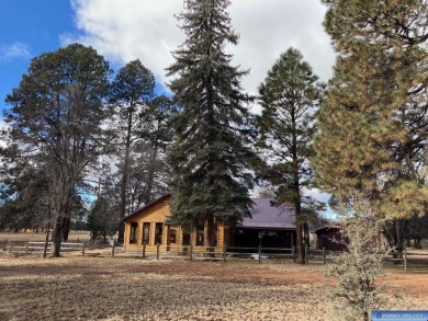 Lake Home Off Market in Reserve, New Mexico