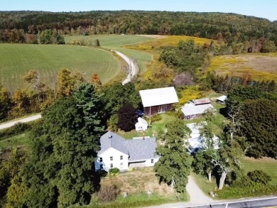 Lake Home For Sale in North Norwich, New York