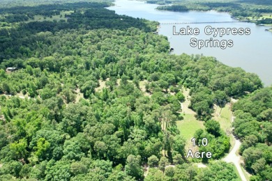 1 Acre Lot with Water View of Lake Cypress Springs - photo 3