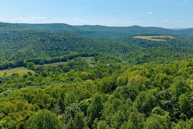 This tract offers so many possibiities and has endless - photo 11