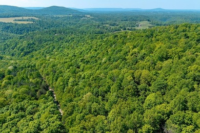 This tract offers so many possibiities and has endless - photo 12