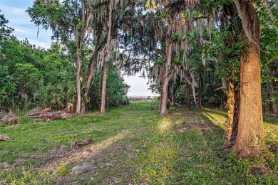 Tucked away among majestic live oaks and native palms, this - photo 3